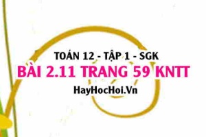 Bài 2.11 trang 59 Toán 12 tập 1 Kết nối tri thức
